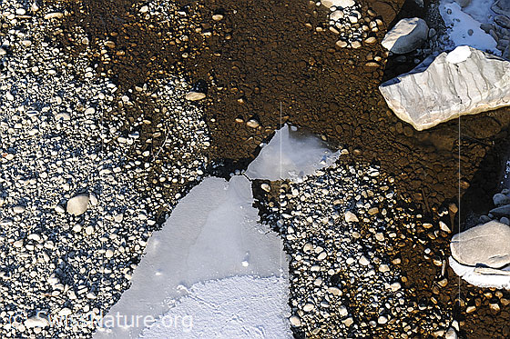 Foto: Eis, Wasser, Kies und Steine in einem Flussbett.