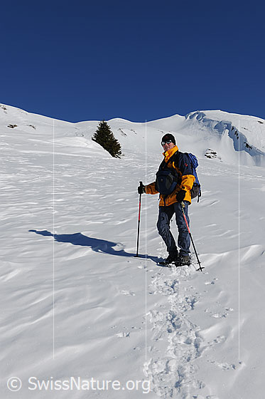 Foto: Schneeschuhläuferin geniesst die schneebedecke, sonnige Winterlandschaft.