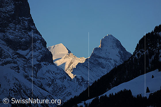 Foto: Morgenstimmung mit Mönch und Eiger.
Blick über das Reichenbachtal und die Grosse Scheidegg zu Mönch und Eiger.
Markanter Grat am Eiger: Mittellegigrat.
Links die Nordwand des Scheideggwetterhorns.