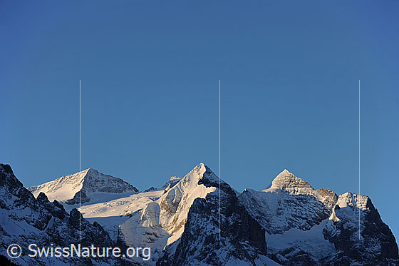 Foto: Morgenstimmung am Wetterhornmassiv mit Rosenhorn, Mittelhorn, Wellhorn, Wetterhorn und Scheideggwetterhorn.
Gletscher: Rosenlauigletscher und Hengsterengletscher.