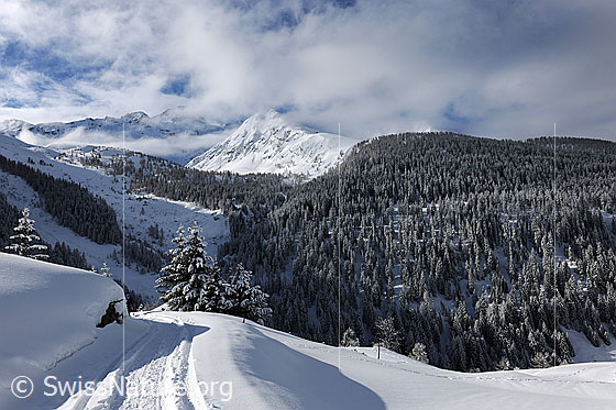 Foto: Neuschnee in den Bergen.
Stimmungsvolle Berglandschaft mit frisch verschneiten Tannen und Wäldern. Darüber lösen sich Wolken und Nebel auf. Die Landschaft ist mit einer hohen Schneedecke bedeckt. Der Weg im Vordergrund weist Spuren auf.