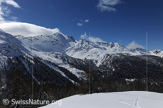Foto: Schnee in den Bergen.
Tief verschneite Berglandschaft mit Schwarzhorn, Stockhorn und ausgedehnten Bergwäldern. In der Schneefläche im Vordergrund sind Schneeschuhspuren zu sehen.