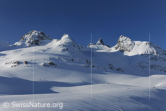 Foto: Licht und Schatten in Winterlandschaft. Albrunhorn, Bochtehorn, Kleines Schinhorn und Seewischhorn in sonniger, schneereicher Winterlandschaft.