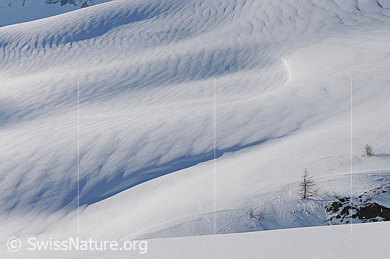 Foto: Bodenwellen mit Muster auf der Schneeoberfläche.