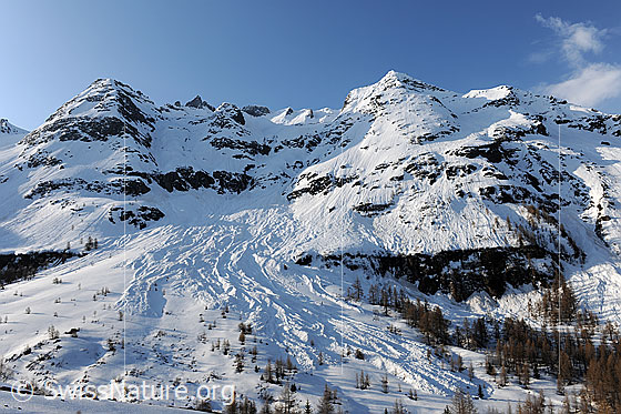 Foto: Lawineneinzugsgebiet und Lawinenkegel zwischen Seewischhorn und Chollerhorn.