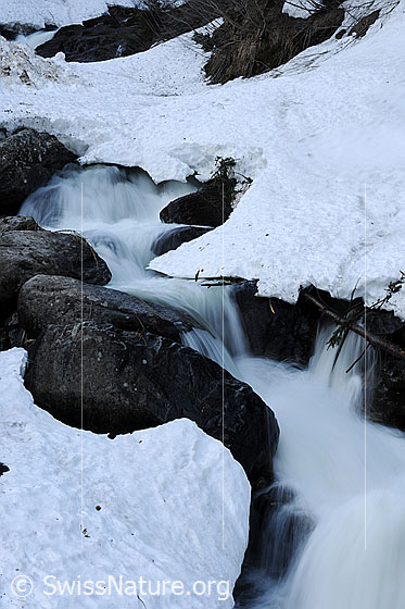 Foto: Langzeitbelichtung: Bergbach mit Schneebrücke im Frühjahr.