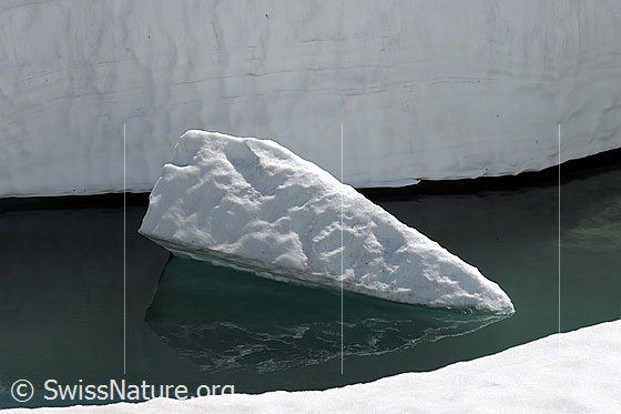 Foto: Eisscholle mit Spiegelung und mächtiger Schneerand am Ufer eines Wasserlaufs.