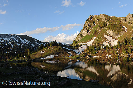 Foto: Morgenstimmung mit Licht und Schatten am Seebergsee. Spiegelung des Muntiggalm mit Schneeresten und lichtem Bergwald im klaren Wasser des Bergsees. Im Hintergrund sind Quellwolken zu sehen.