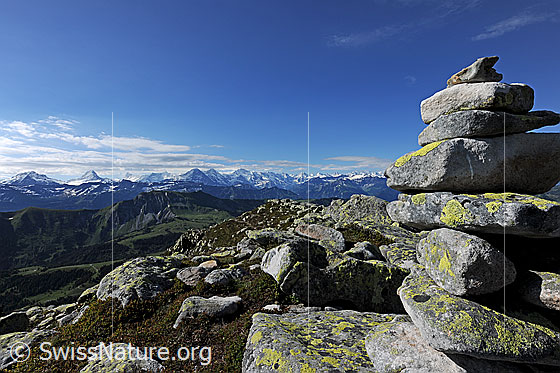 Foto: Steinmann vor Berner Alpen.