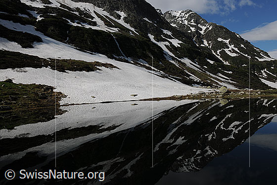 Foto: Spiegelbild im Halsesee. Spiegelung der Berghänge mit Schneefeldern im ruhigen Wasser.