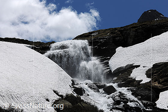 Foto: Wildwasser: Bergbach mit Wasserfall über eine Felsstufe und Schneefeldern am Ufer. Am blauen Himmel ist eine Quellwolke zu sehen.