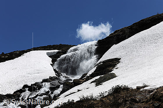 Foto: Wilder Bergbach mit Wasserfall umgeben von Schneefeldern.