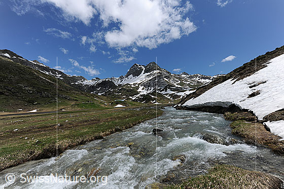 Foto: Bergbach in Ebene mit Berg im Hintergrund. Am Ufer und in den Bergflanken des Ofenhorns liegen noch Schneereste. Am blauen Himmel sind Quellwolken zu sehen.