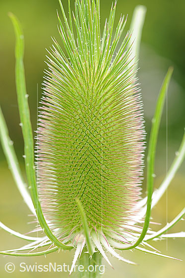 Photo: 