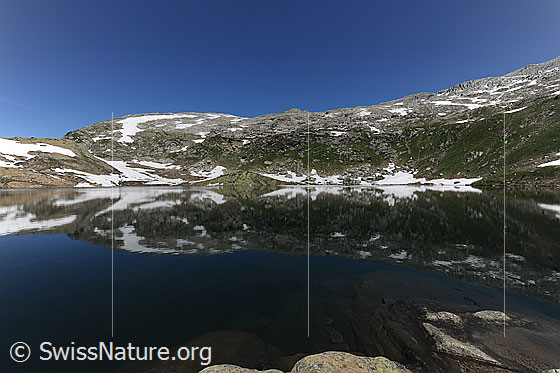 Foto: Bergrücken mit Schneeresten und Spiegelung im See (Geisspfadsee). Am Ufer befinden sich Felsblöcke. Das Wasser des Bergsees ist ruhig und hat die Farbe blau.