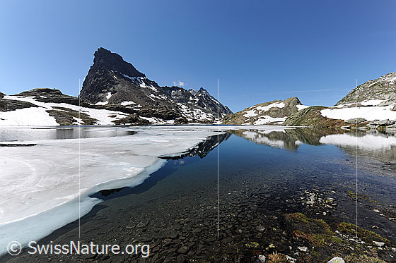 Foto: Eisscholle auf Bergsee und Spiegelung der Berglandschaft mit Rothorn und Schwarzhorn. Im klaren Wasser am flachen Ufer sind Steine zu sehen.