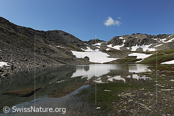 Foto: Schwärziseeli (Unterster Bergsee), Ursern, Innerschweiz. Blick über das seichte Ufer mit Gras und Steinen auf die Spiegelung der Berglandschaft mit Schneeresten. Im Hintergrund ist der Blaubergpass zu sehen.