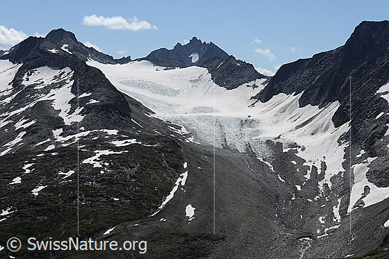 Foto: Muttengletscher mit ausgeprägter Obermoräne im Bereich der Zunge. Aufgenommen von Stotzigen Firsten.
Gipfel / Übergänge: Stellibodenhorn - Gross Leckihon - Muttenhornpass - Pizzo Rotondo - Muttenhornlücke - Stotzig Muttenhorn.
