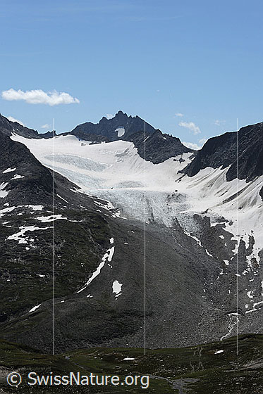 Foto: Muttengletscher mit ausgeprägter Obermoräne im Bereich der Zunge. Aufgenommen von Stotzigen Firsten.
Gipfel / Übergänge: Muttenhornpass - Pizzo Rotondo - Muttenhornlücke - Stotzig Muttenhorn (Ausläufer).
