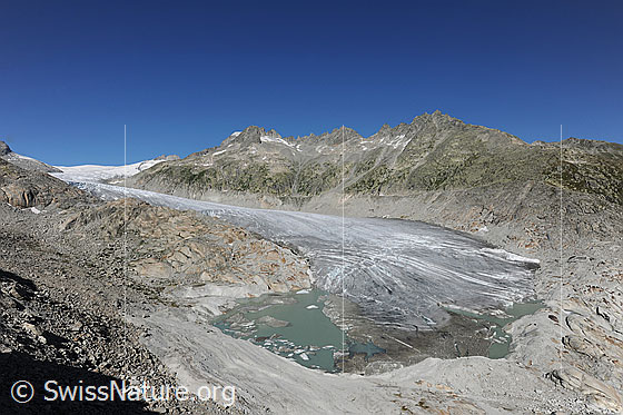 Foto: Rhonegletscher und Gletschersee. Die abgeflachte Gletscherzunge mündet in einen See, welcher durch eine Felsbarriere entstanden ist. In der linken Bildhälfte ist der seit längerer Zeit bestehende Gletschersee zu sehen. Die Eisdecke an der Gletscherzunge ist dünn geworden und weist Spalten auf. Bald werden die beiden Gewässer vereinigt sein.
