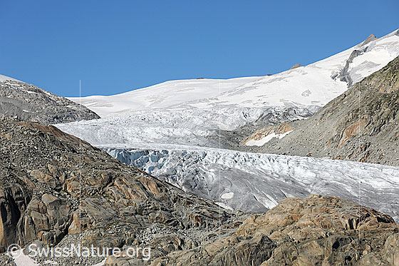 Foto: Rhonegletscher, Grossfirn und Eggfirn. Im Vordergrund sind vom Gletscher abgeschliffene Felsen (Gletscherschliff) mit Strukturen zu sehen.
