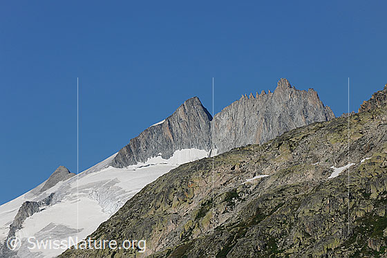 Foto: Dammastock, Rhonestock und Tiefenstock. Rechts vom Rhonestock das Obere Winterjoch.
Gletscher: Rhonegletscher