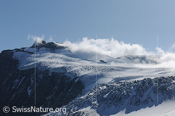 Foto: Sustenhorn und Steigletscher.