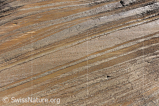 Foto: Fels mit Linien und Strukturen. Fels mit unterschiedlichen Gesteinsarten und Gletscherschliff.
