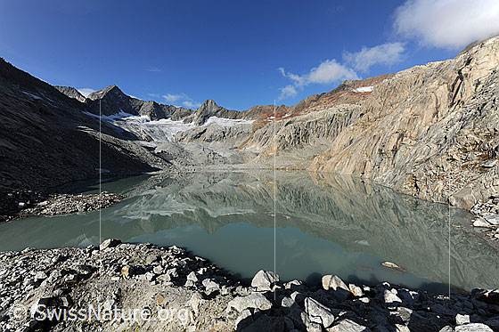 Foto: Gruebengletscher (auch Grubengletscher) mit Spiegelung im Bergsee. Gruebengletscher und Gruebensee.
Gipfel: Gross Diamantstock - Hiendertelltihorn