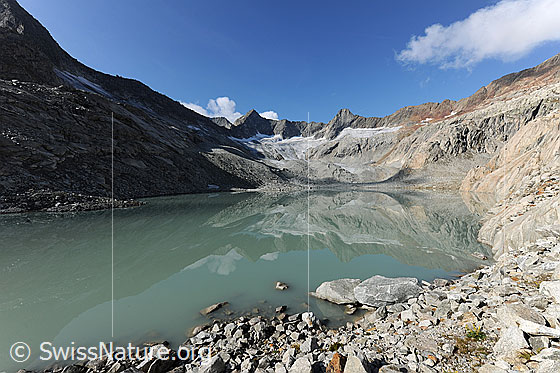Foto: Gruebengletscher und Gruebensee mit Spiegelbild.
Gipfel: Gross Diamantstock - Hiendertelltihorn