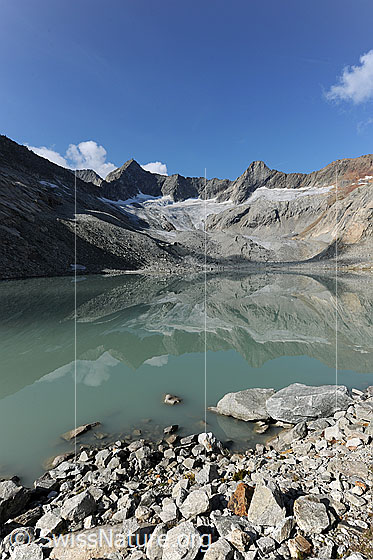 Foto: Spiegelung Gruebengletscher im Gruebensee.
Gipfel: Gross Diamantstock - Hiendertelltihorn