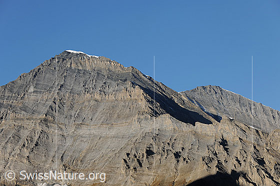 Foto: Balmhorn und Altels. Balmhorn: Links der oberste Teil des Gitzigrates, in der Mitte die Ostwand und rechts der Wildelsigengrat (auch Wildelsiger). Zu sehen ist auch der Gasteräspitz (2821.7m)