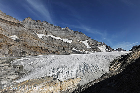 Foto: Alpetligletscher und Kanderfirn. Dahinter Oeschinenhorn, Blüemlisalphorn, Wyssi Frau, Morgenhorn, Tschingelspitz und Mutthorn. Die flache Gletscherzunge zeigt, dass sich der Gletscher auf dem Rückzug befindet.
Gletscher: In die Südflanke eingelagert sind die Gletscher Blüemlisalphorn-SE und Wyssi Frau-SE