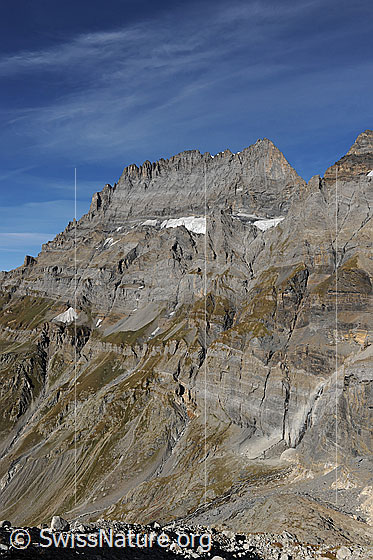 Foto: Doldenhorn von SE. Links der Südgrat, in der Mitte der obere Teil des Galletgrats, rechts der Ostgrat, welcher vom Fründenjoch steil emporsteigt. Gut erkennbar auch die Südostwand, über welche eine der grossen alpinen Sportkletterrouten, die Doldorphin, verläuft.
Gletscher: Doldenhorn-SE