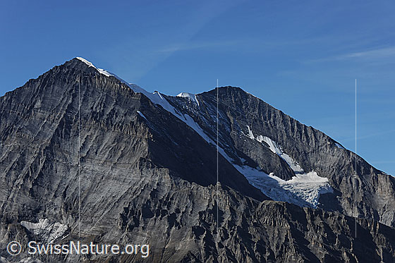 Foto: Balmhorn und Altels von Osten.
Links der oberste Teil des Gitzigrats. Von vorne führt der Wildelsigengrat auf den Gipfel des Balmhorns. Am untern Ende des Grats befindet sich der Gasteräspitz. Zwischen Balmhorn und Altels verläuft der Altels-Südostgrat. Rechts von der Altels ist der Nordgrat zu sehen.
Gletscher: Balmhorngletscher.