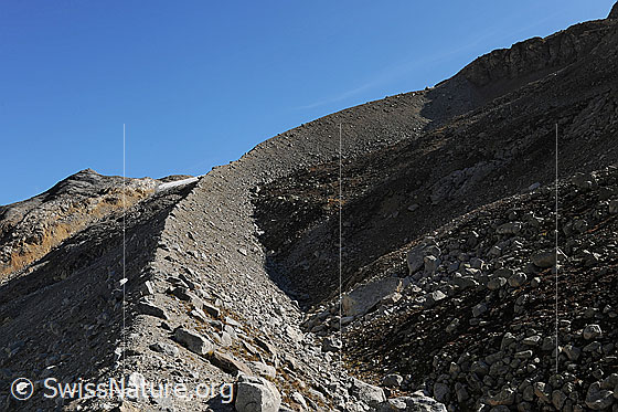 Foto: Geschwungene Seitenmoräne. Die eindrückliche Seitenmoräne wurde von dem Teil des Kanderfirns aufgeschüttet, welcher vor langer Zeit von Birghorn und Birgsattel talwärts wuchs.

