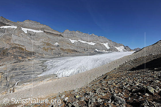 Foto: Gletscherlandschaft Kanderfirn und Alpetligletscher mit Fründenhorn und Blüemlisalpmassiv im Hintergrund. Die flache Gletscherzunge zeigt, dass sich der Gletscher auf dem Rückzug befindet. Davor ist eine Seitenmoräne und ein überwachsenes Geröllfeld zu sehen.

