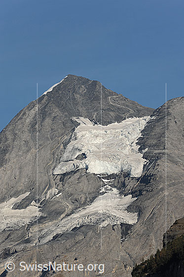 Foto: Blüemlisalphorn und Obere Oeschinengletscher.
Von links steigt der Nordwestgrat (Normalroute) zum Gipfel hoch, von rechts der Südwestgrat.