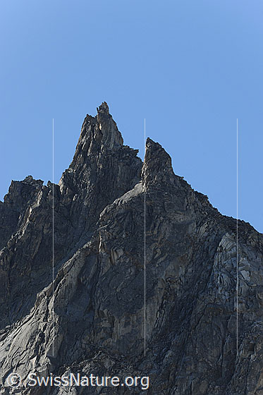 Foto: Gipfel des Brandlammhorn.
