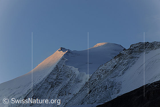 Foto: Morgenstimmung Bishorn. Im Schatten ist der Gletscherbalkon des Turtmanngletschers zu sehen.