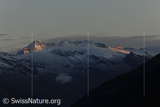 Foto: Morgenstimmung über den Berner Alpen.
Gipfel hintere Bergkette: Oeschinenhorn -  Blüemlisalphorn - Wissy Frau - Morgenhorn
Gipfel vordere Bergkette: Sackhorn - Elwertätsch - Birghorn (davor das Tennbachhorn)
Gletscher: Tennbachgletscher (unterhalb Sackhorn) - Tellingletscher (von Sonne beschienen, unterhalb Birghorn)