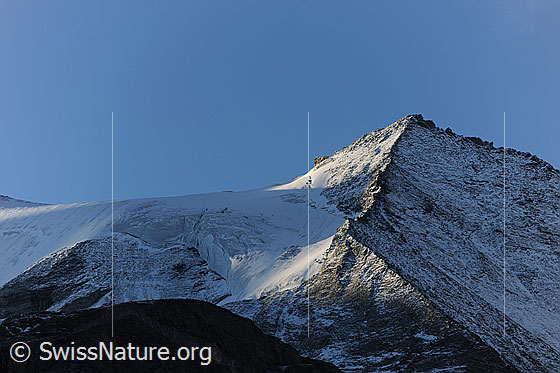 Foto: Stierberg und Turtmanngletscher. Der Gletscherbalkon liegt im Schatten, während der verschneite Felsgrat im Morgenlicht zu sehen ist.