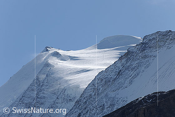 Foto: Bishorn mit Spur eines Einzelgängers auf dem Turtmanngletscher. Davor ein verschneiter Felsgrat.