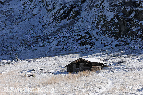 Foto: Einsame Hütte zu Winterbeginn. In den Felsen, auf der herbstlichen Alpweide und dem Pfad, welcher auf die Alphütte zu führt, liegt erster Schnee.