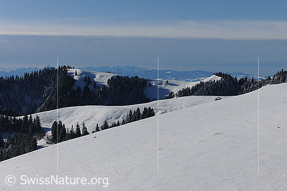 Foto: Schneebedeckte Hügel des Emmentals mit verschneiten Wäldern. Aus der Schneedecke im Vordergrund ragen ein paar Grashalme. Ein mächtiges Wolkenfeld einer Wetterfront bedeckt den Himmel.
