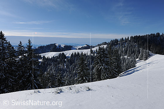 Foto: Schnee im Emmental. Die Hügellandschaft ist schneebedeckt und die Wälder sind frisch verschneit. Im Horizont ist ein ausgedehntes Wolkenfeld einer Wetterfront zu sehen.