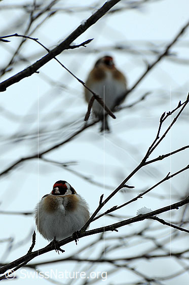 Photo: 