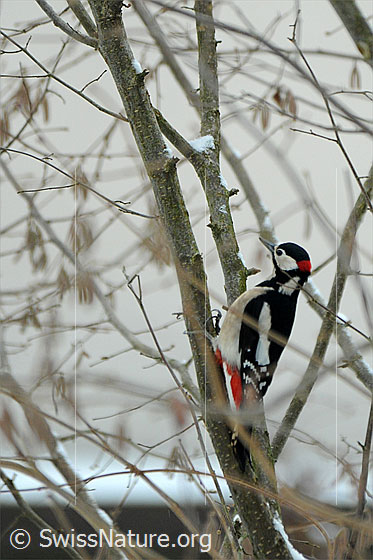 Photo: 