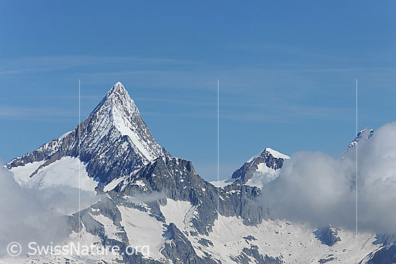 Foto: Finsteraarhorn von SE. Vorgelagert sind das Wasenhorn und der Hangendgletscher zu sehen.