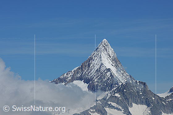 Foto: Finsteraarhorn vom Holzjihorn
